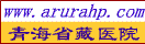 青海省藏医院