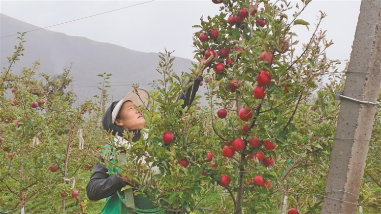 W020260920350203257007.jpg
